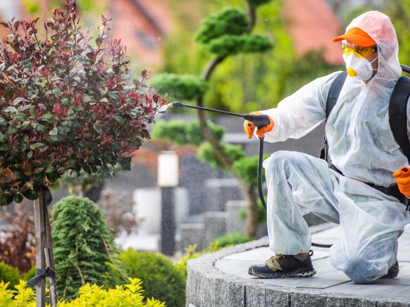 Yumurtalık Haşere İlaçlama