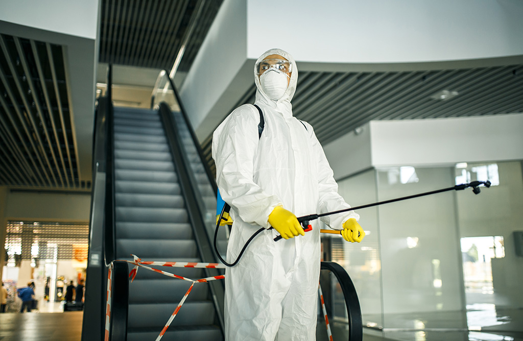 Yumurtalık Haşere İlaçlama